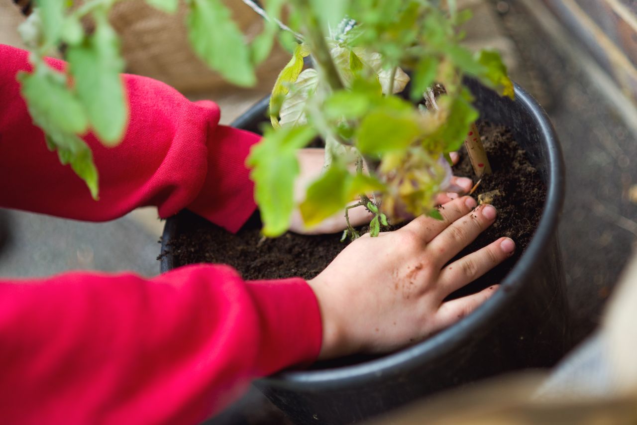 children gardening