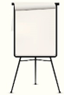 cartoon flip chart