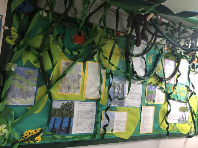 Year Three Rainforest Topic