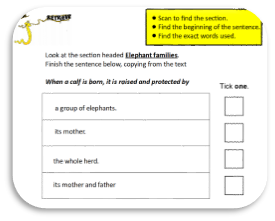 lesson focused flip chart
