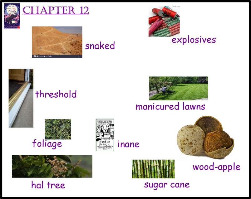 reading comprehension