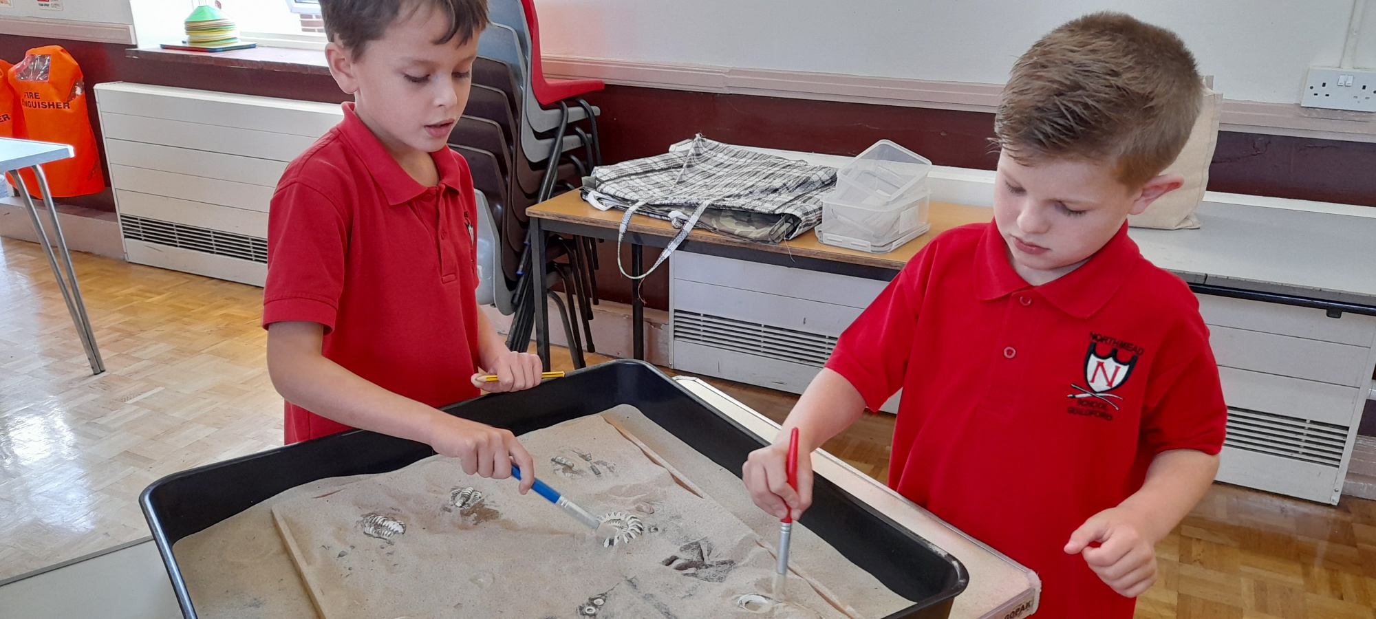 children finding buried fossils