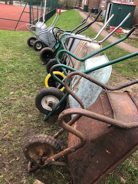 wheelbarrows used for gardening